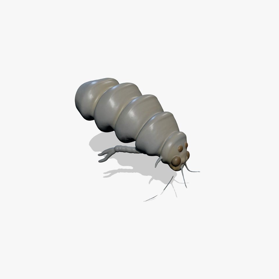 Transparent Larva Model Pack